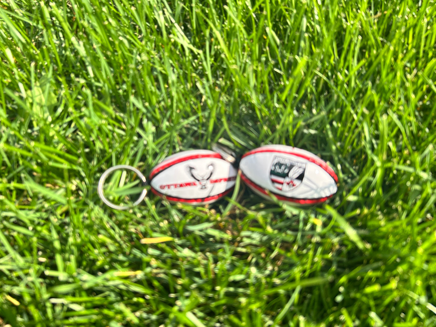 Ospreys Ball Keychain