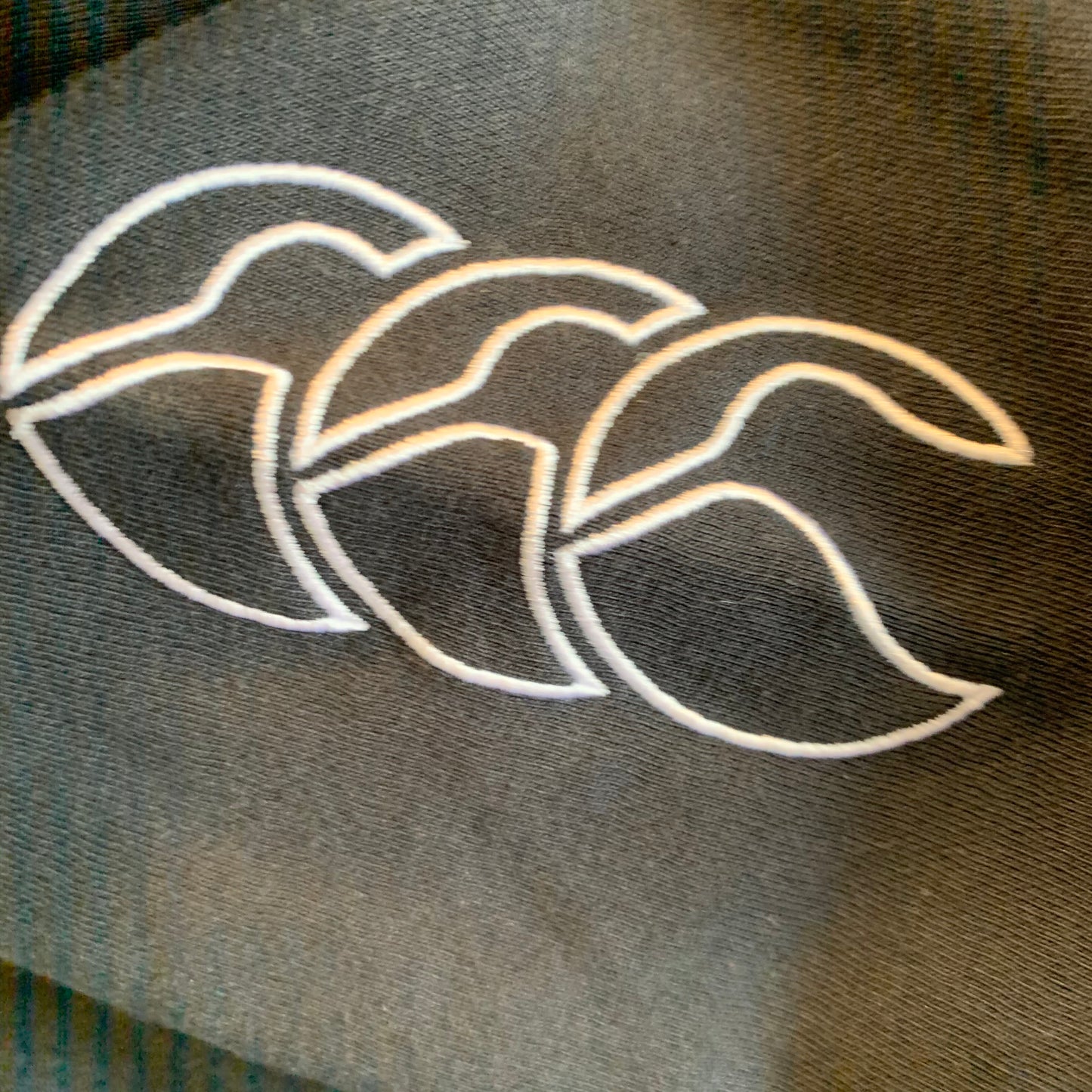 Ospreys Black Hoody- CCC