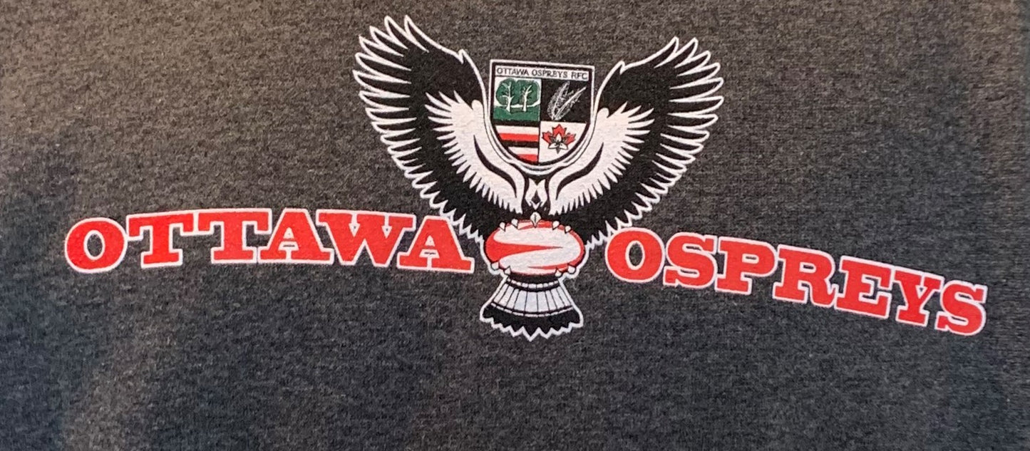 Ospreys Hoodie "Blue Chip"